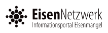 Eisen Netzwerk Logo